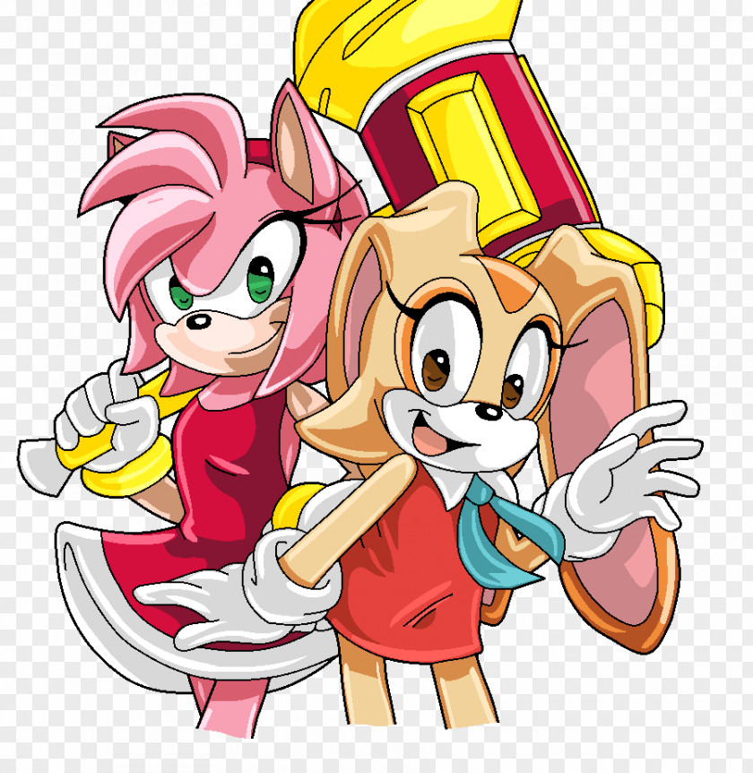 Amy And Cream Rose Shadow The Hedgehog Rabbit Sonic Riders Fan Art PNG