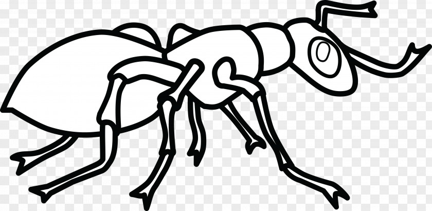 Ants Ant Colony Coloring Book Hey, Little Child PNG