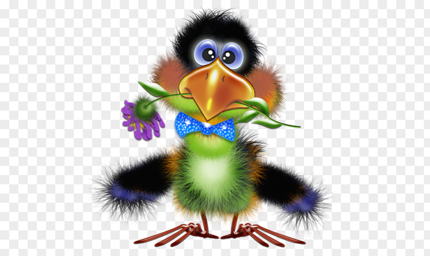 Bird Illustrations Drawing Funny Animal Clip Art PNG