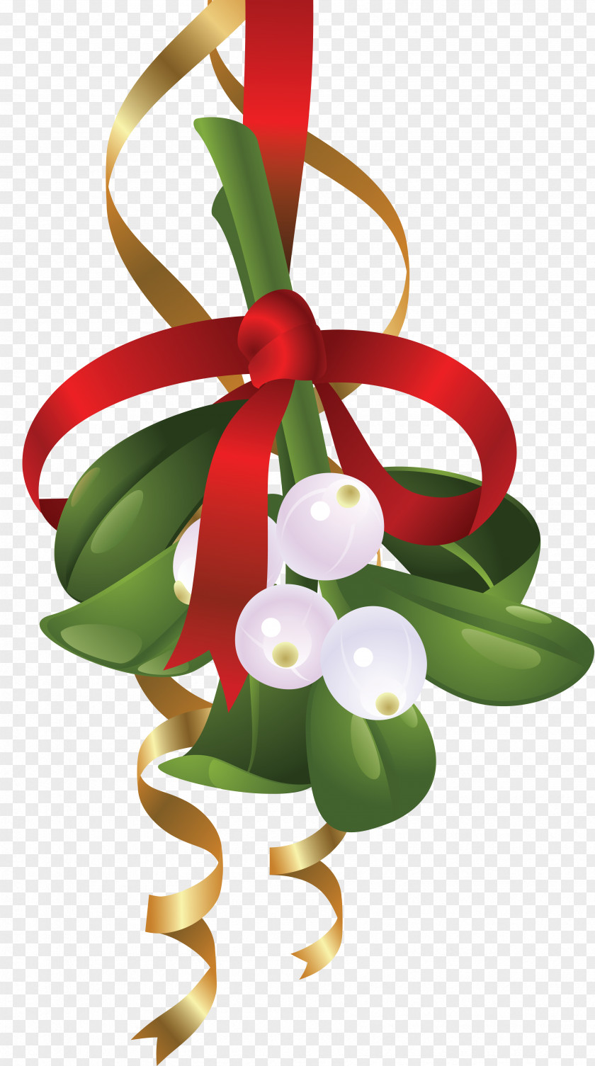 Canada Day Celebration Ribbon Christmas Mistletoe Clip Art Illustration Image PNG