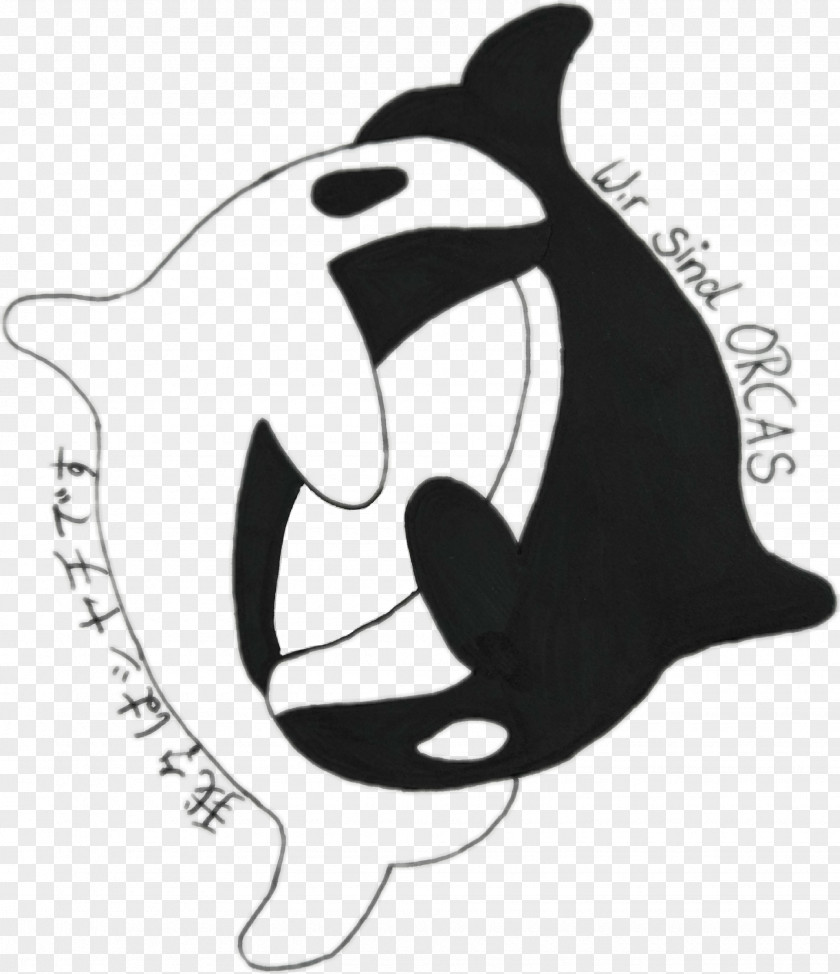 Cat Clip Art Killer Whale Drawing Image PNG