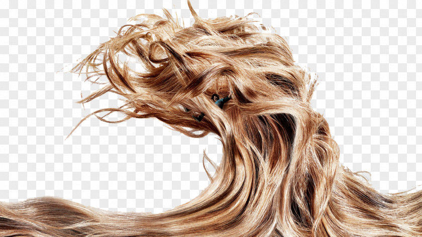 Hair Advertising Campaign Shampoo Pantene Care PNG
