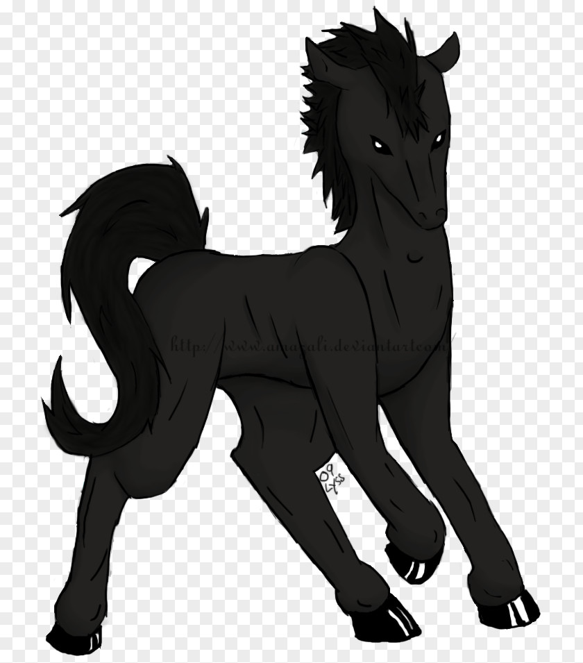 Mustang Pony Stallion Mane Pack Animal PNG