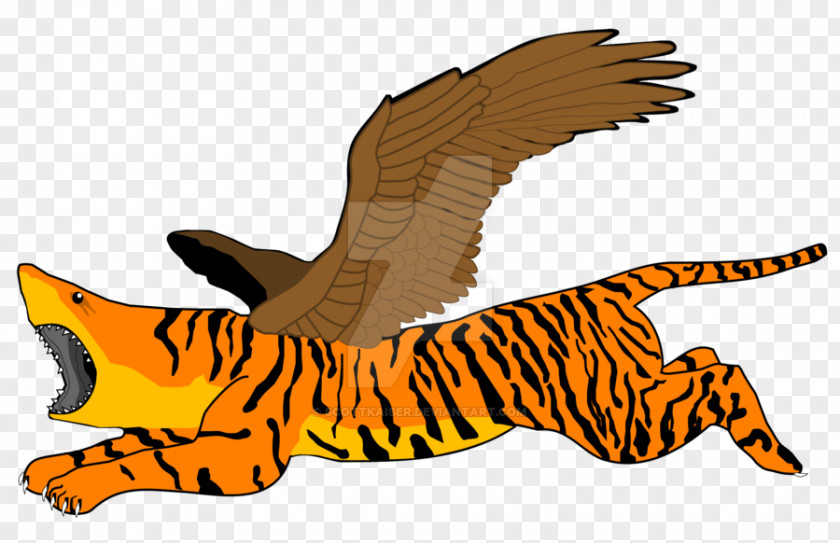 Tiger Cat Bird Of Prey Feather PNG