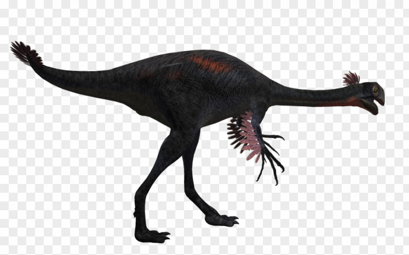 Tyrannosaurus Velociraptor Animal PNG