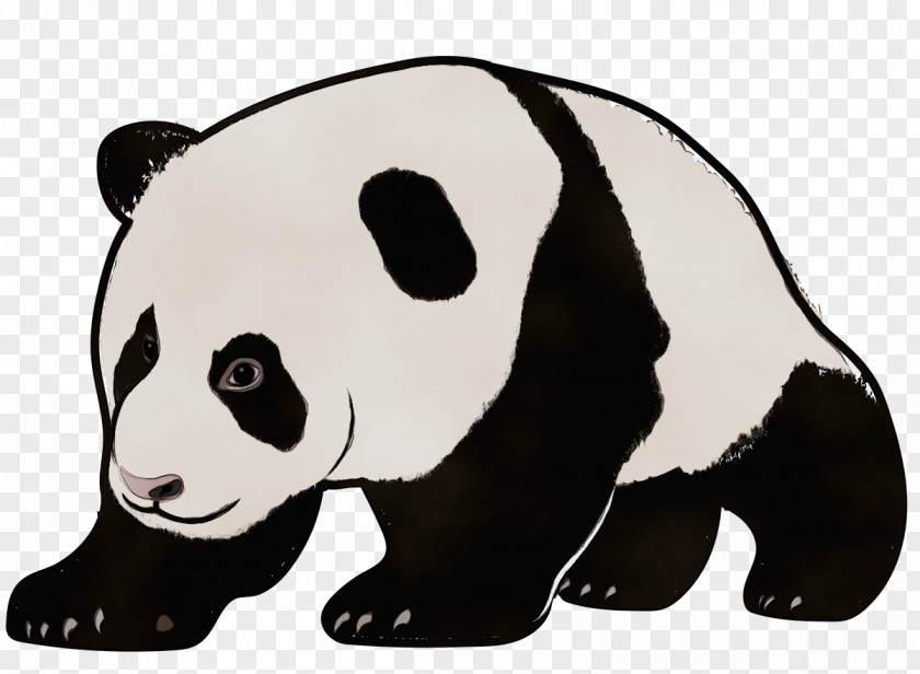 Wildlife Cartoon Panda PNG