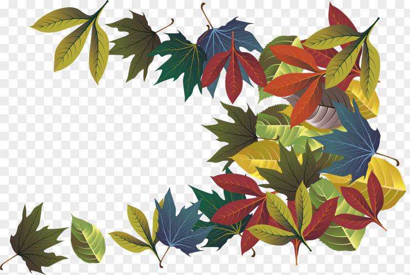 Colorful Autumn Leaves Leaf Deciduous PNG