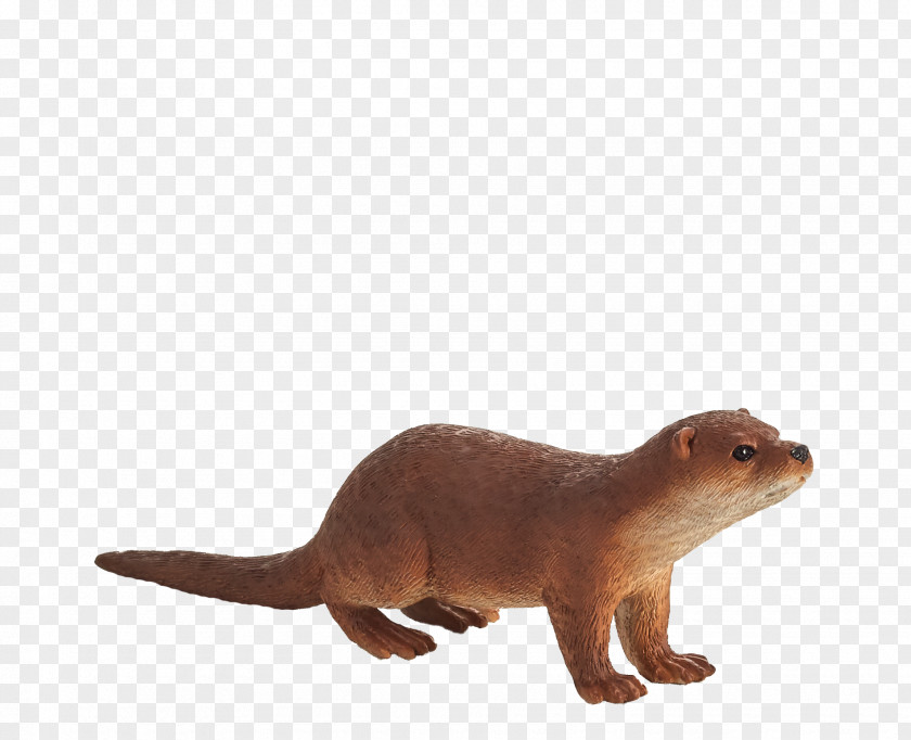 Otter Weasels Animal American Black Bear Dutch Warmblood PNG