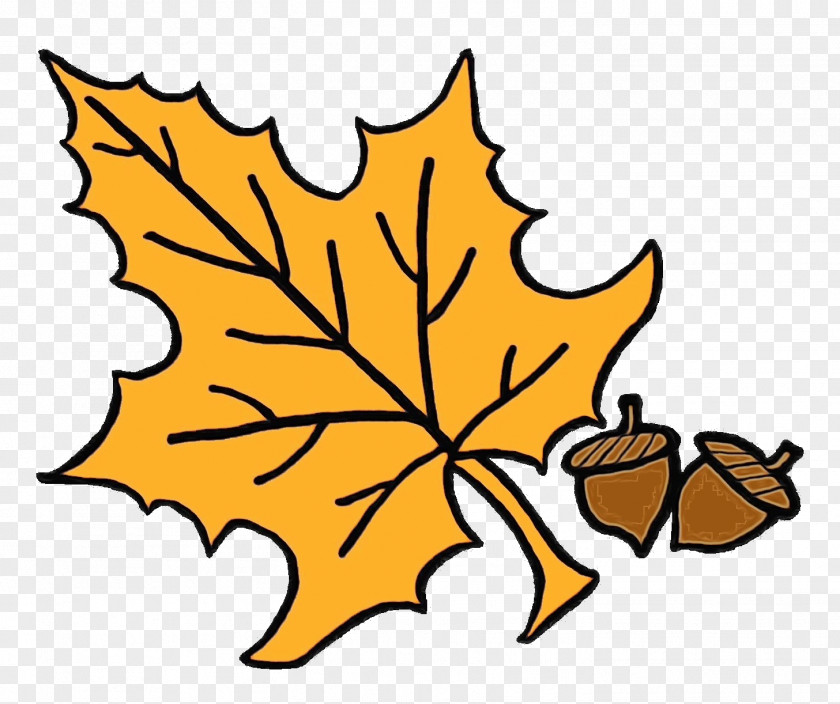 Plant Plane Maple Leaf PNG