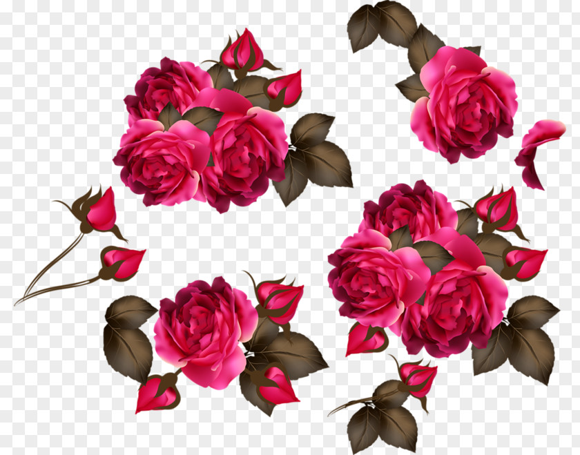 Rose Pink Flower PNG