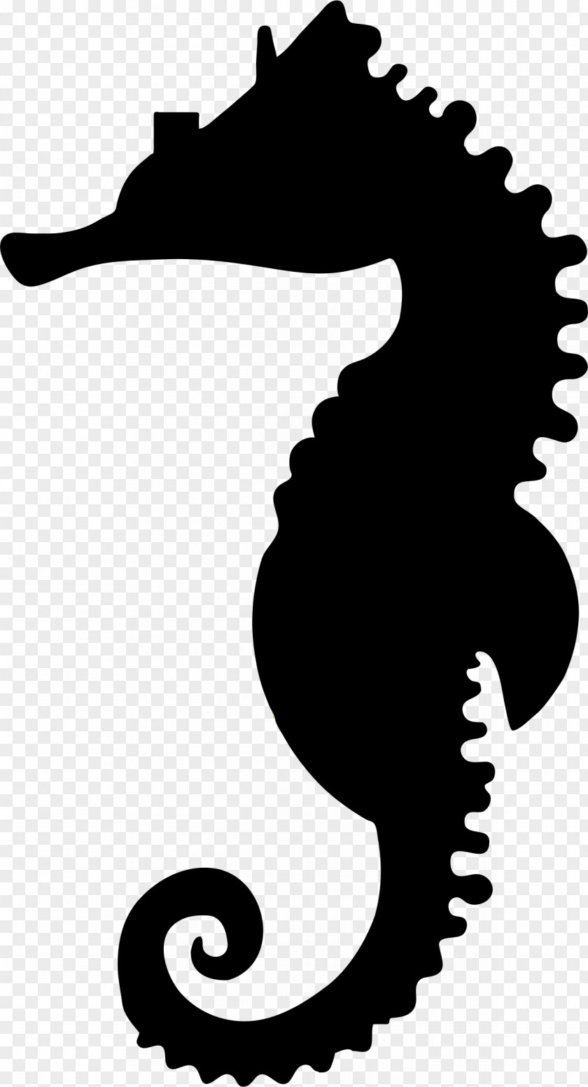 Seahorse Silhouette Clip Art PNG