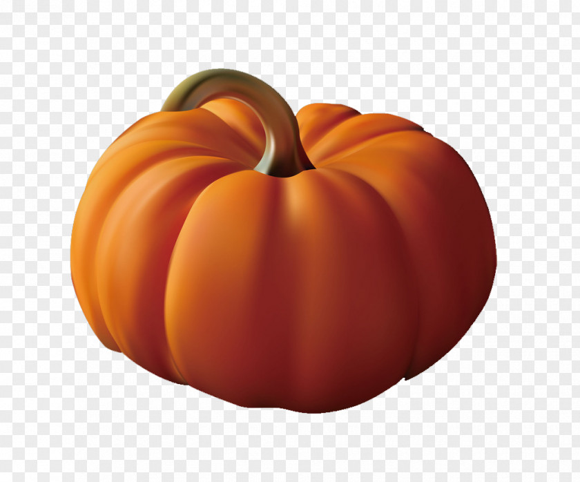 3D Virtual Pumpkin Jack-o-lantern Computer Graphics PNG
