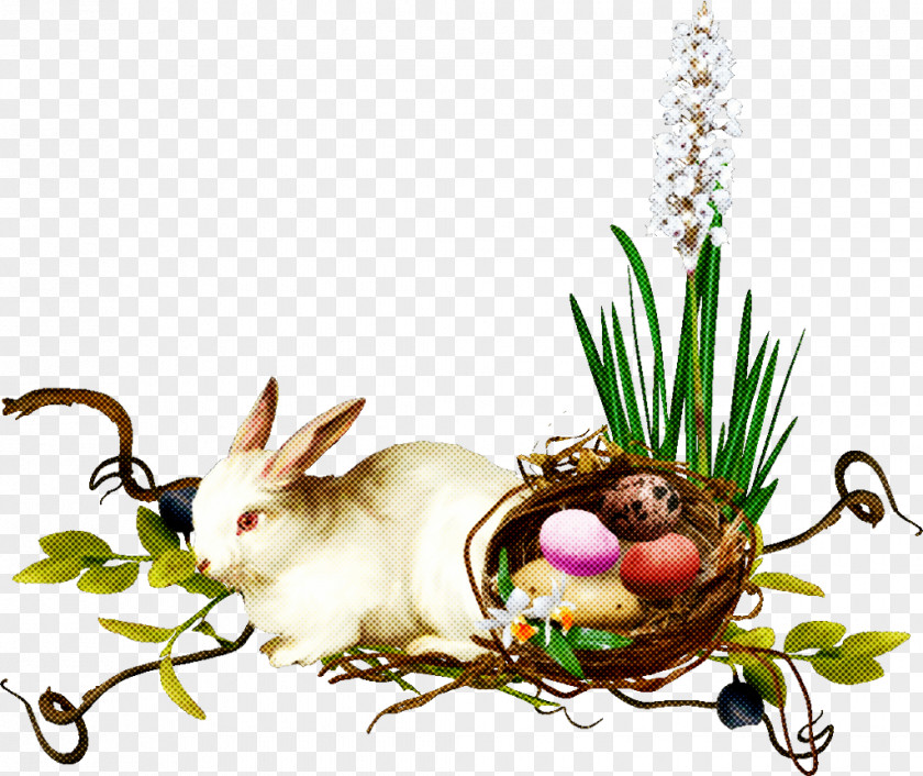 Easter Bunny PNG