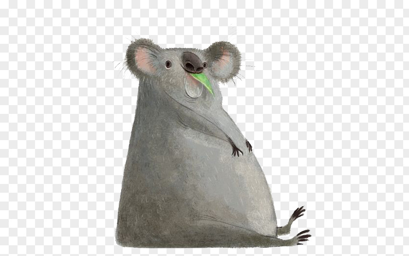 Koala Cartoon PNG