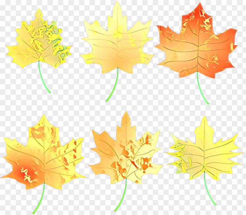 Plane Black Maple Leaf PNG