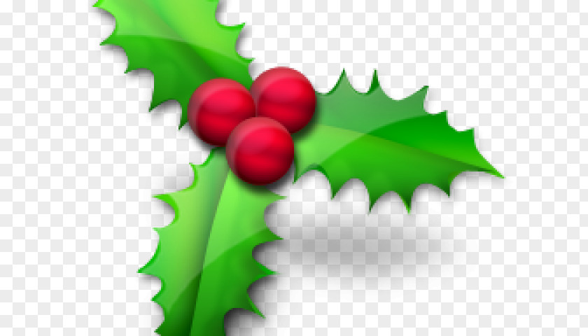 Santa Claus Christmas Day Vector Graphics Common Holly PNG