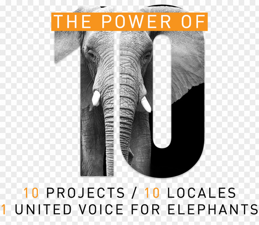 Save Power Indian Elephant Elephantidae Brand The Bodhi Tree Foundation Armani PNG
