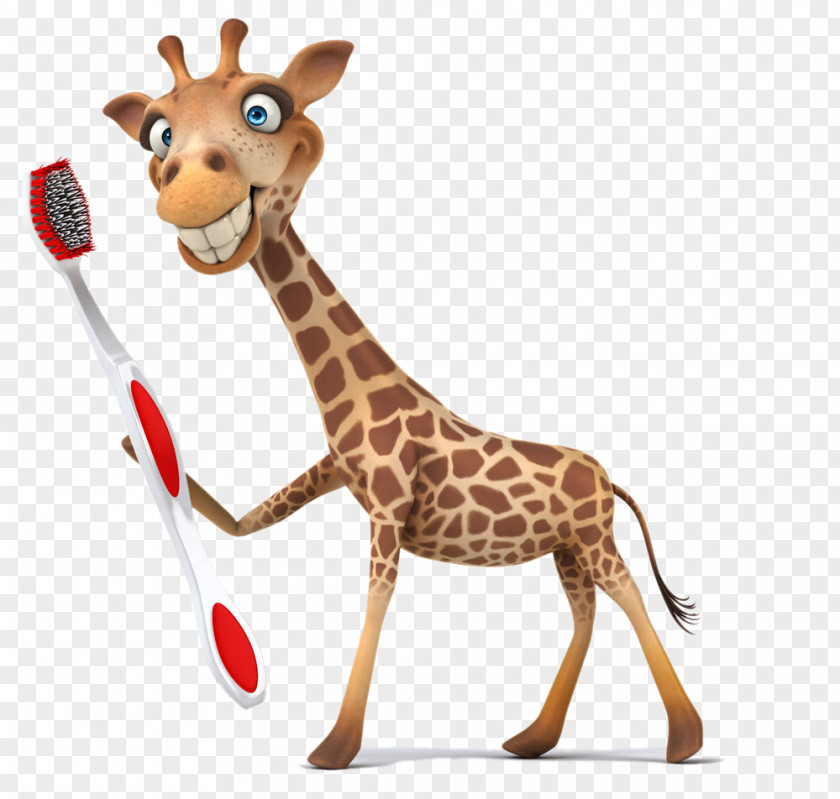 Take The Toothbrush Giraffe Stock Photography Illustration Royalty-free Clip Art PNG