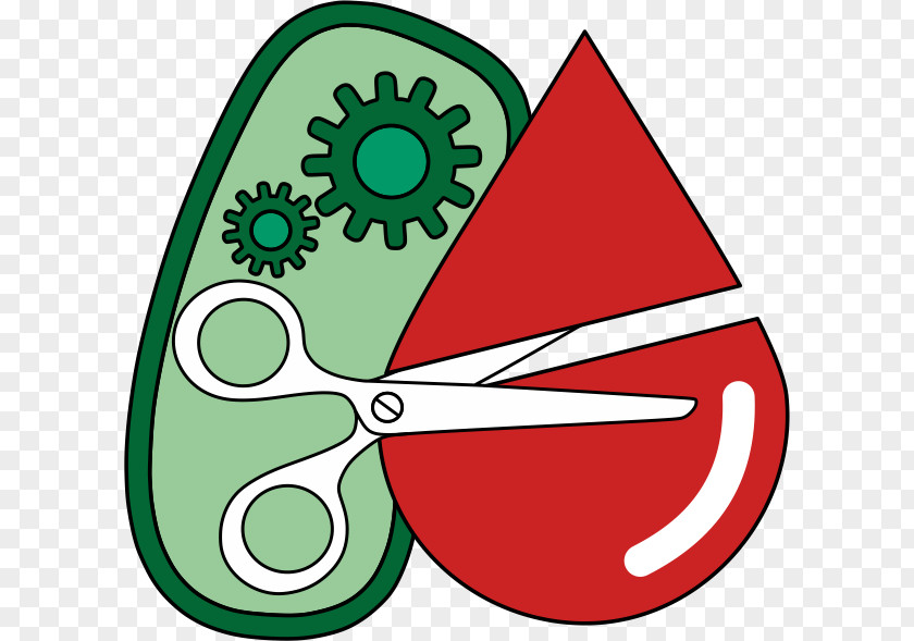 World Blood Donor Day Enzyme International Genetically Engineered Machine Tübingen Protein Tag Glycosylation PNG