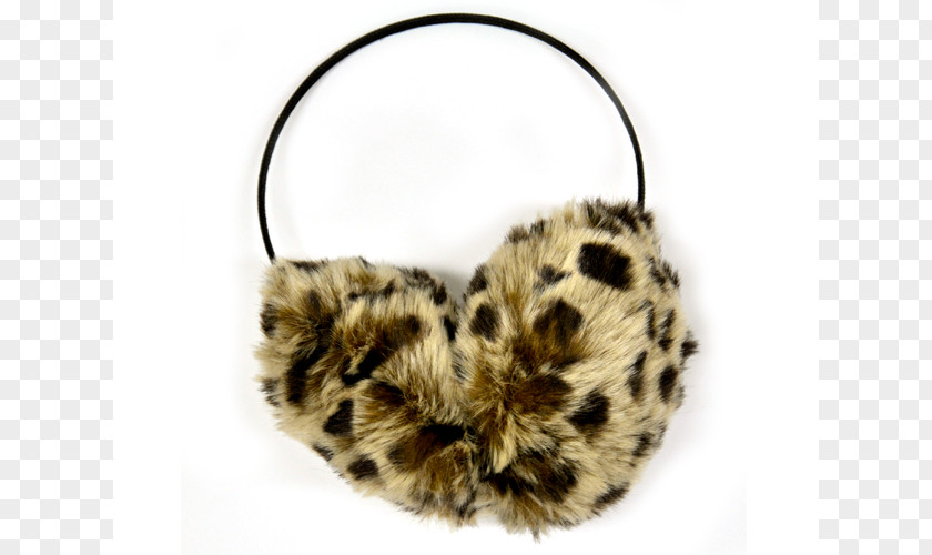 Cat Fur Mammal Ear Snout PNG