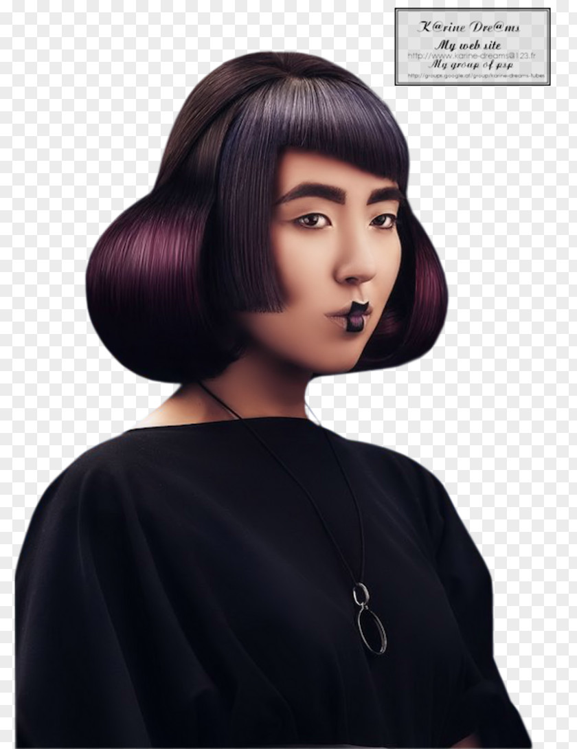 Chinese Dream Hair Coloring Black Bob Cut Hairstyle PNG