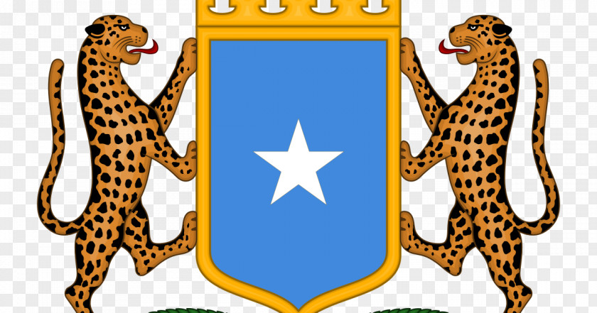 Coat Of Arms Somalia Italian Somaliland Somali Democratic Republic PNG