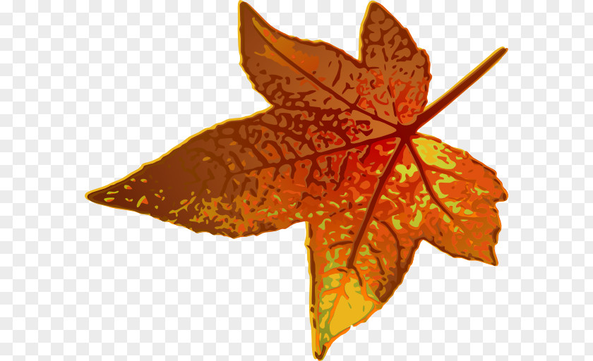 Fall Maple Leaf Autumn Color Clip Art PNG