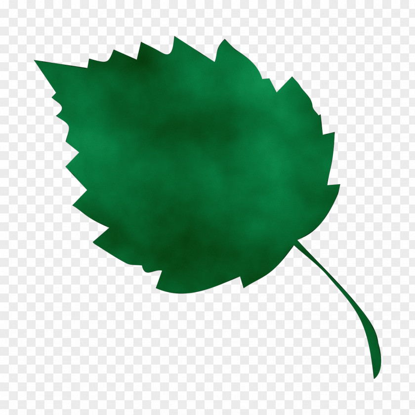 Holly Logo Oak Tree Drawing PNG