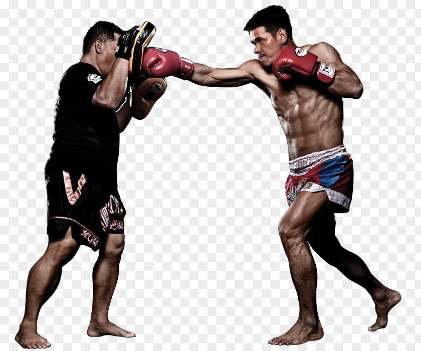 Mixed Martial Artist Muay Thai Boxing Arts Evolve MMA PNG