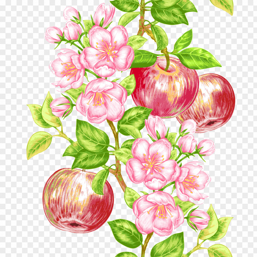 Apple Fruit Tree Icon PNG