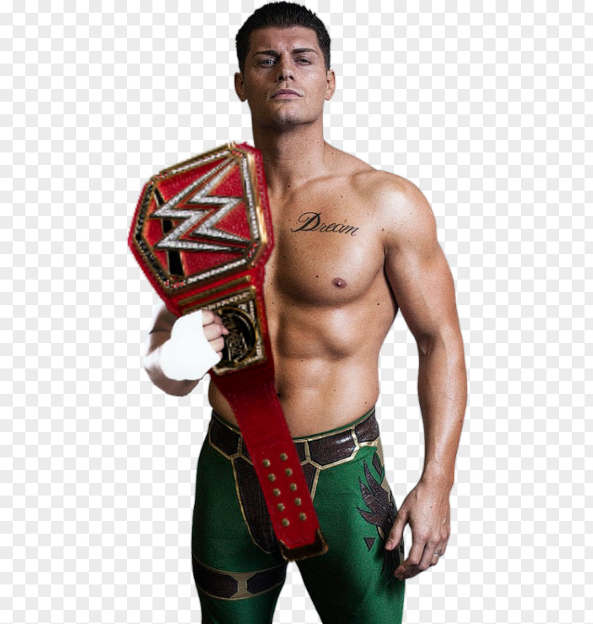 Cody Rhodes Impact! Money In The Bank Ladder Match Professional Wrestling Impact PNG