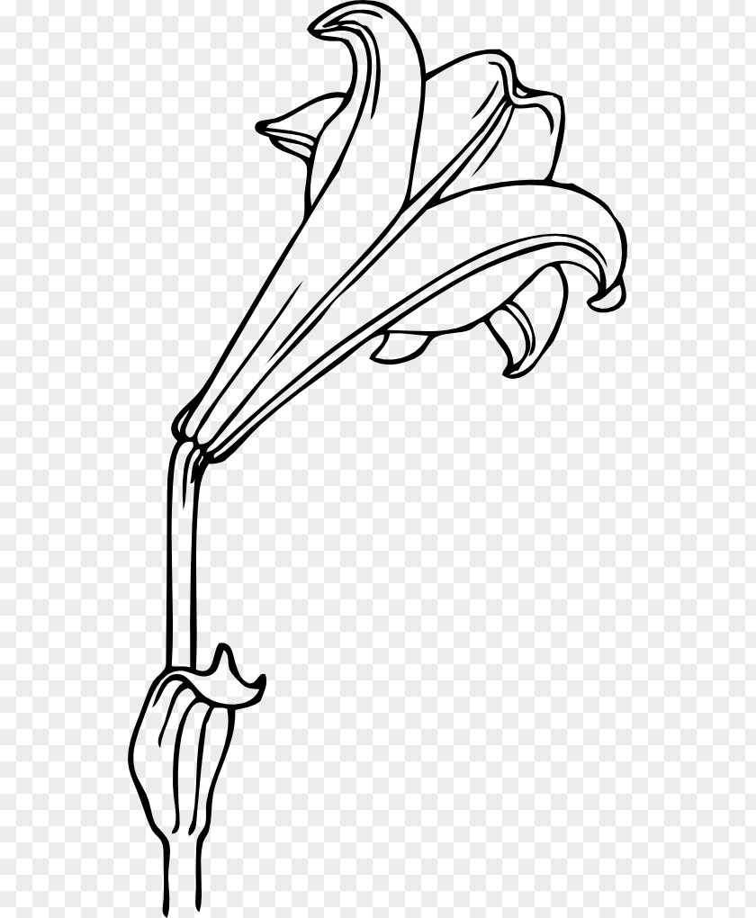 Easter Lily Arum-lily Clip Art PNG