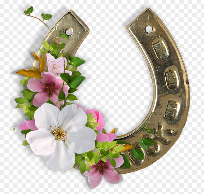 Horse Horseshoe Luck Superstition Iron PNG