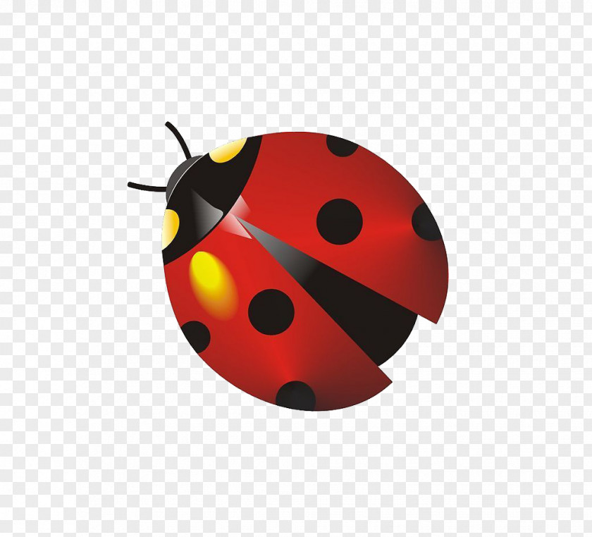 Ladybug Insect Ladybird Coccinella Septempunctata Cartoon PNG