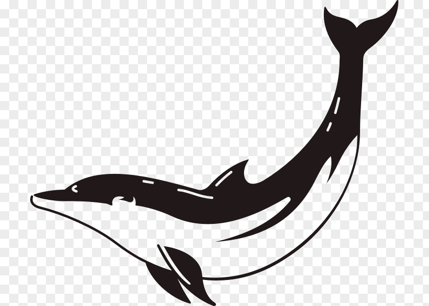 Symbol Poseidon Dolphin Horse Aphrodite PNG