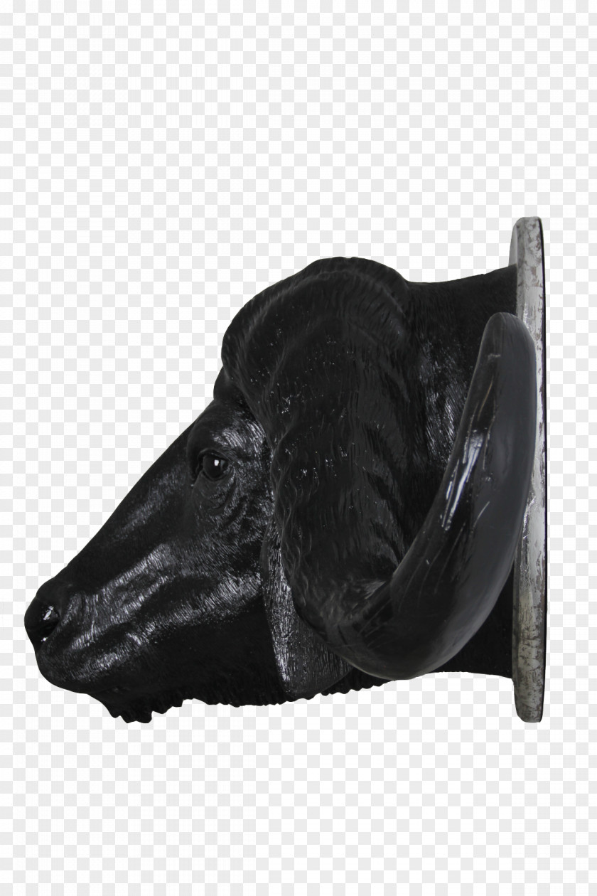 Buffalo Head Shoe Snout Black M PNG