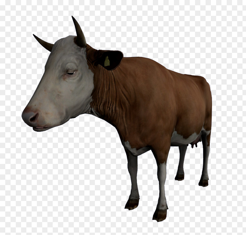 Dayz Dairy Cattle Calf DayZ Ox PNG