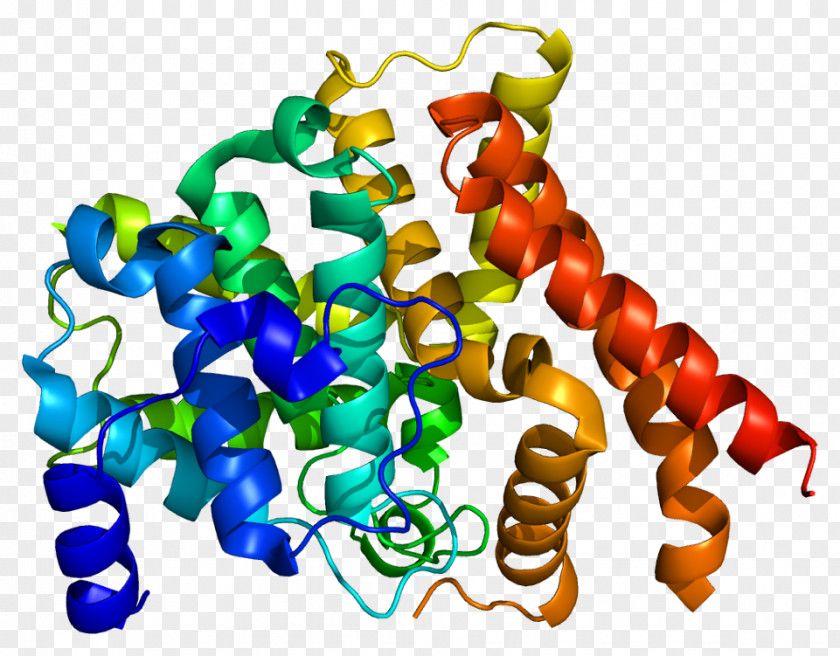 Estructura De Panal Fosfodiesterasa 5 CGMP-specific Phosphodiesterase Type Cyclic Guanosine Monophosphate Enzyme PNG