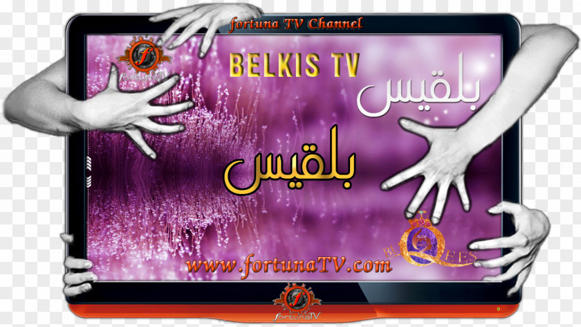 MISIR Turkey Teve2 Television Channel TV8 PNG