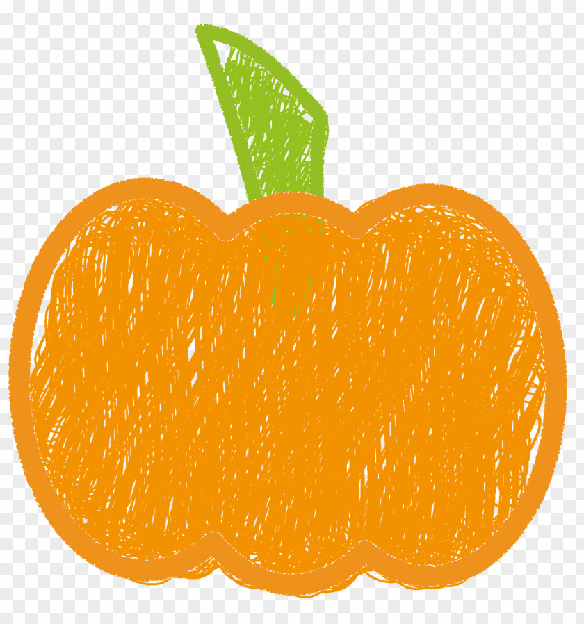 Orange Clementine Mandarin Tangerine Tangelo PNG