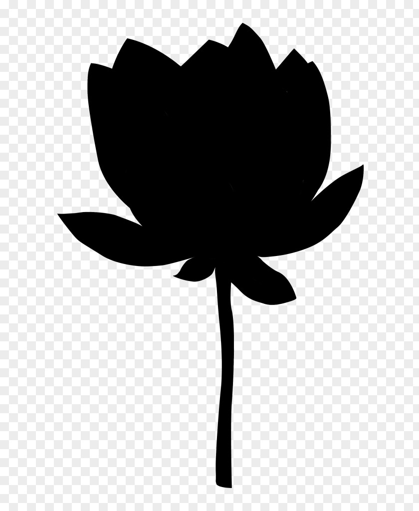 Petal Vector Graphics Sacred Lotus Flower Floral Design PNG