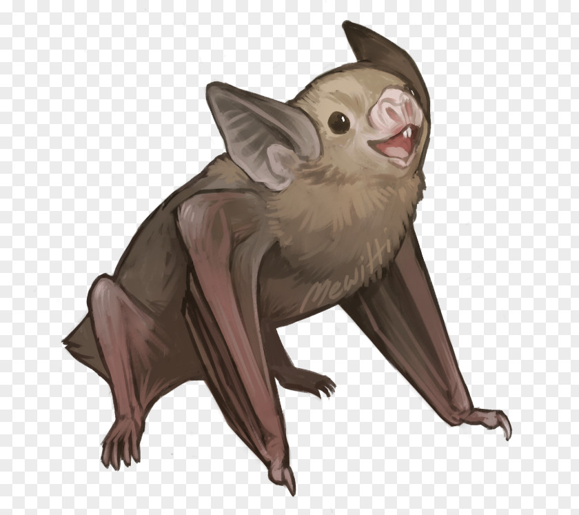 Vampire Greater False Bat Kitti's Hog-nosed Honduran White Drawing PNG