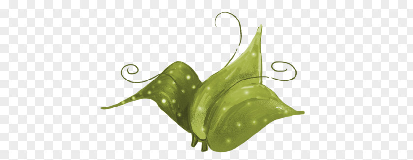 Vegetable Leaf Fruit PNG