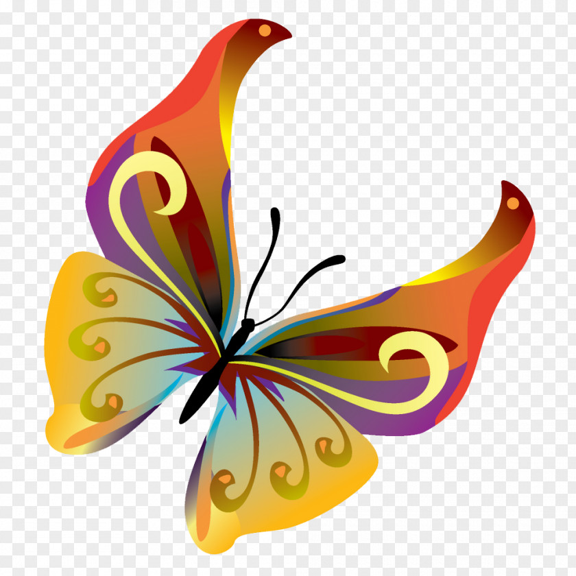 Butterflies Vector Transparent Image Butterfly Insect PNG