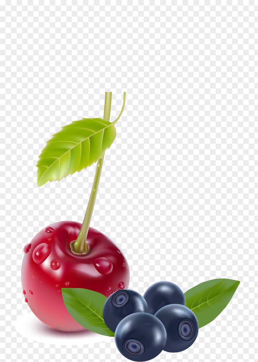 Cherry Blueberry Fruit Vector Material Berry PNG