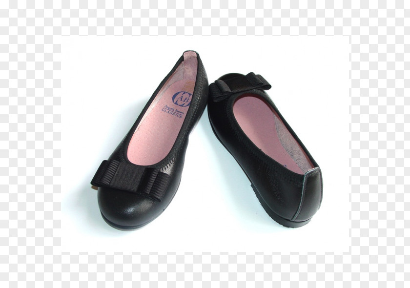 Cool Boots Ballet Flat Shoe PNG