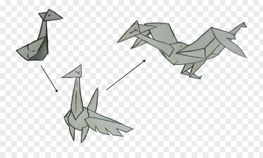 Design Origami Marine Mammal Paper Cartoon PNG