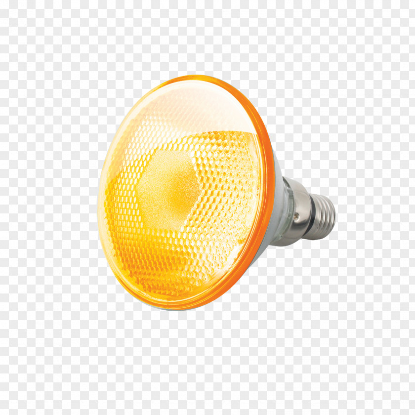 Light Edison Screw Incandescent Bulb Halogen Lamp PNG