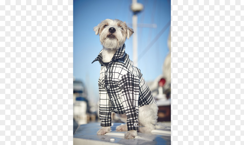 Plaid Print Dog Breed Schnoodle Tartan Snout Outerwear PNG