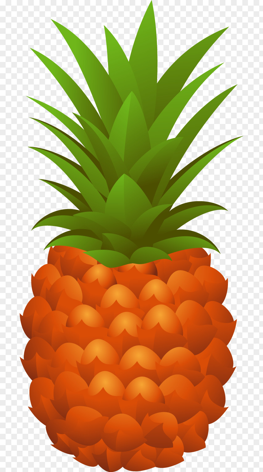 Vector Pineapple Cdr PNG